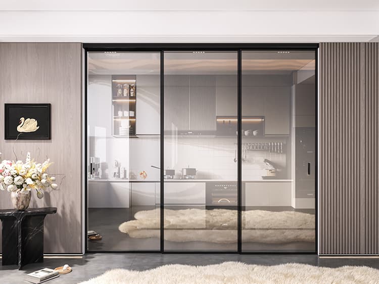 Xinghan 2+0 Pocket Door
